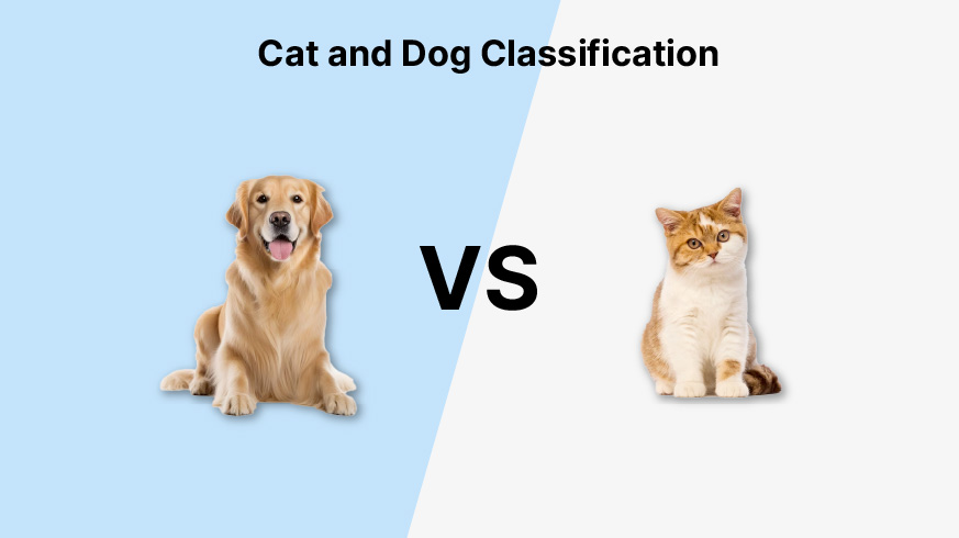 Cat-Dog Classifier Project